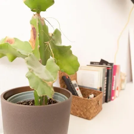 Hogar Del Sur By Gades Gestion Apartman *