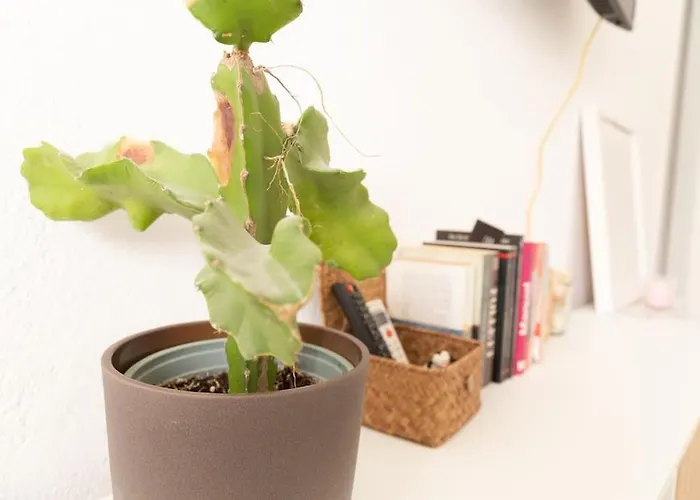 Hogar Del Sur By Gades Gestion Lägenhet *